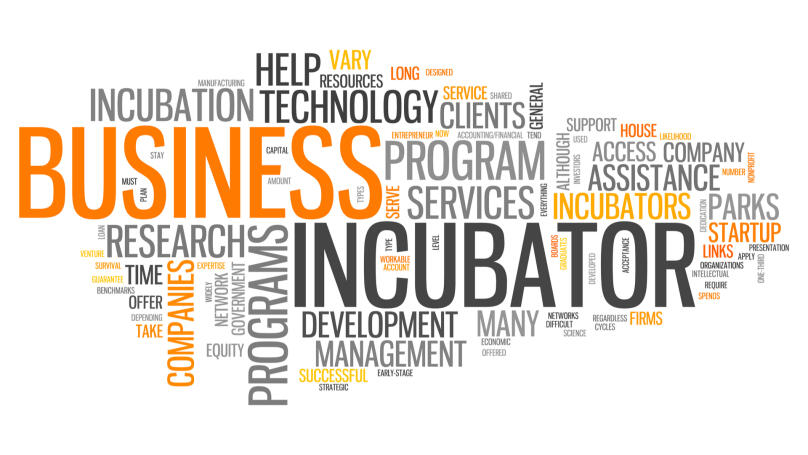 Business incubator definition and meaning