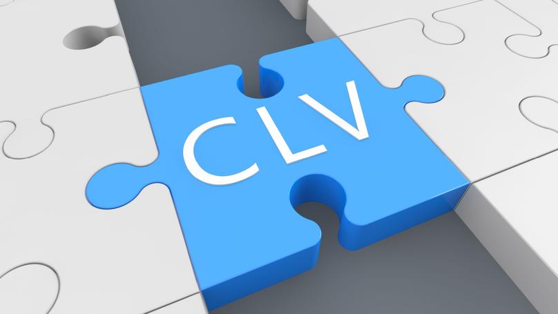 Aplicaciones empresariales del CLV