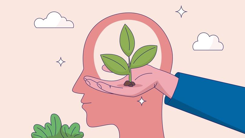 shutterstock-2425085115