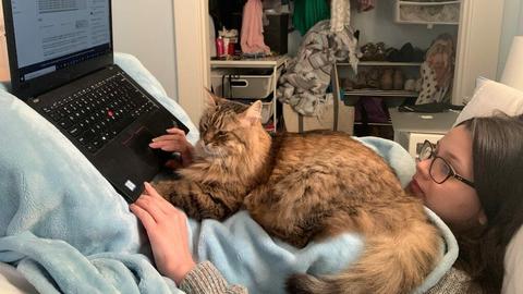 US Studenten setzen ihr Studium im online Format fort