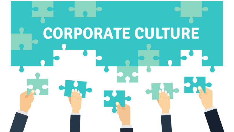Where did the concept of corporate culture come from