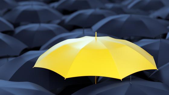 Как open minded мышление поможет вам в карьере и как его развить?
