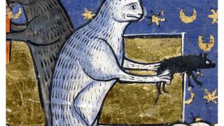 Test. What Kind of Medieval Cat Are You?