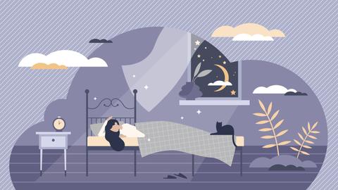 Выучить иностранный язык, историю искусств или прочитать книгу во сне: концепция гипнопедии
